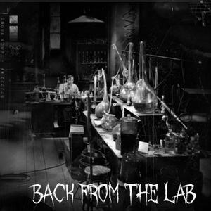 Back from the Lab (Explicit)