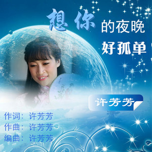 想你的夜晚好孤单 (对唱版)