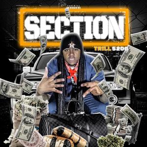 Section (Explicit)