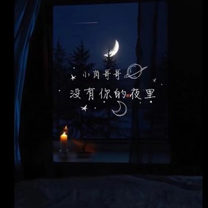 没有你的夜里