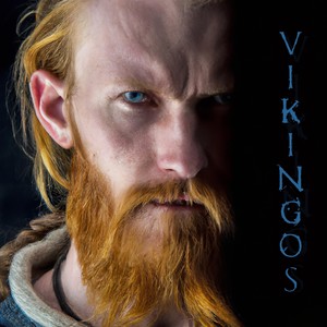 Vikingos