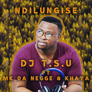 Ndilungise (Extended Version)