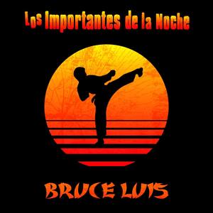 Bruce Luis