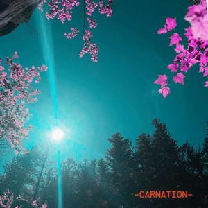 Carnation (Explicit)