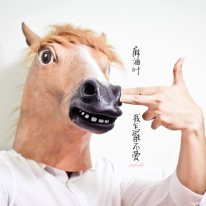 六层楼封面