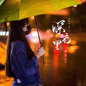 深夜里 (DJ九锐版)