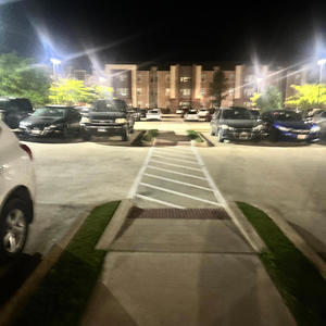 Really havin (feat. Rashad Land & Exotic Boy JB) (Explicit)