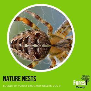 Nature Nests - Sounds of Forest Birds and Insects, Vol. 9