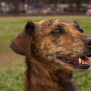 Quando virei a esquina