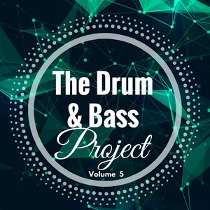 The Drum and Bass Project - Volume 5