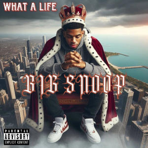 WHAT A LIFE (Explicit)