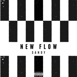 New Flow (Explicit)