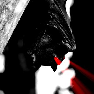 Vampire