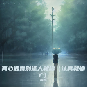 真心很贵别逢人就给 (伤心男版)