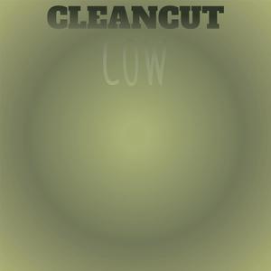 Cleancut Cow
