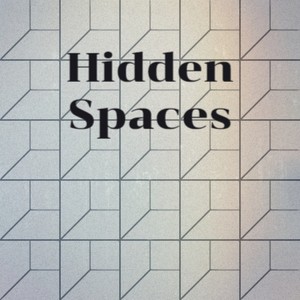 Hidden Spaces