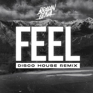 Feel (Disco House)