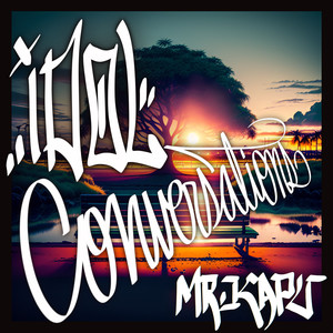 Mr. Kapu - Idol Conversations (Explicit)
