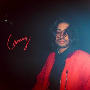 Canny's vibes (Explicit)