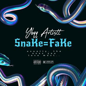 SnaKe=FaKe (Explicit)