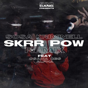 Skrr Pow (Remix) [Explicit]