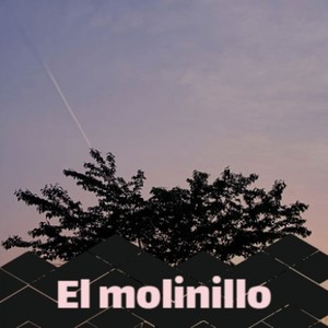 El molinillo