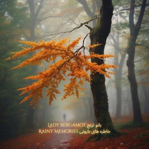 Rainy Memories خاطره های بارونی