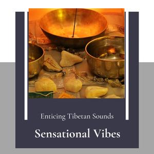 Sensational Vibes (Enticing Tibetan Sounds)