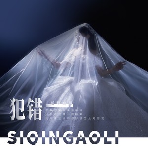 斯琴高丽 - 犯错 (纪念版)