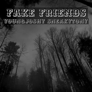 Fake Friends (feat. YoungJoshy, Beakerukillit & Redjon) (Explicit)