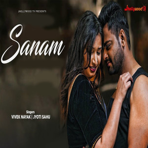 Vivek Nayak - Sanam