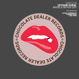 Angels Never Cry (Alexey Shirmalov Remix)