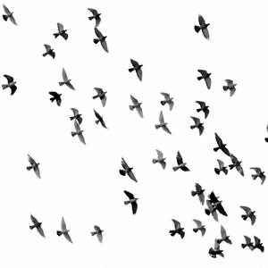Fly Away (feat. lil AR) (Explicit)