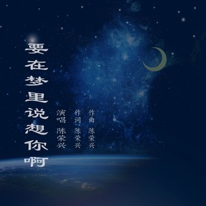 要在梦里说想你