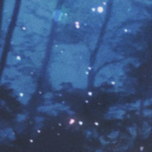 Fragments