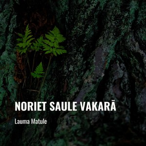 Noriet saule vakarā