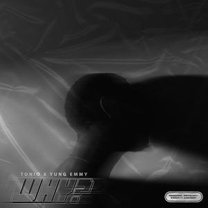 WHY(feat. Yung Emmy) (Explicit)