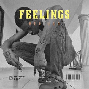 Feelings