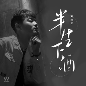 半生下酒 (DJ默涵版)封面