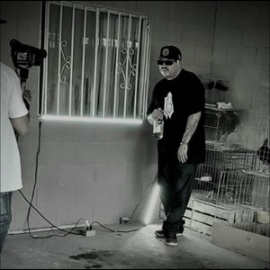 Levas en el Bussines