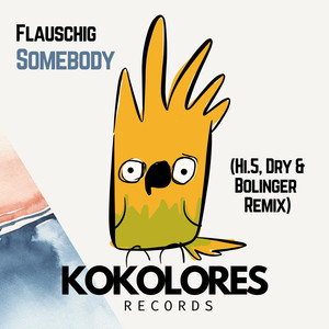 Somebody (Hi.5, Dry & Bolinger Remix|Extended)