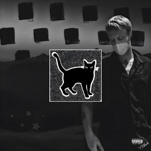 Black Cat (Explicit)