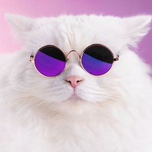 Chipi Chipi Dubi Dubi