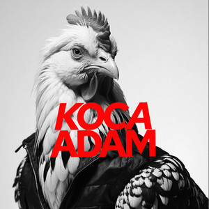 KOCA ADAM