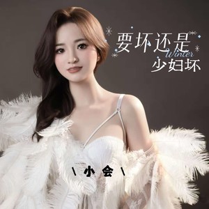 要坏还是少妇坏 (dj何友)