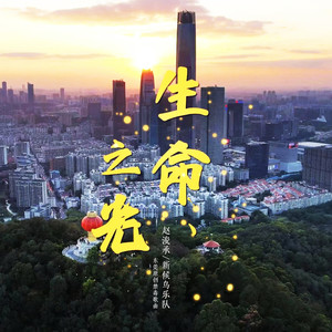 生命之光 (伴奏)