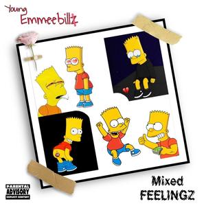 Mixed Feelingz (Explicit)