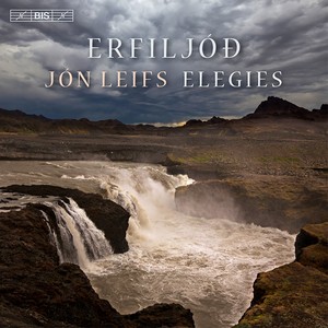 LEIFS, J.: Erfiljóð (Elegies) / Quintet / Variazioni Pastorale / Scherzo concreto (Wilkinson)