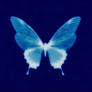 别问很可怕 (Live)