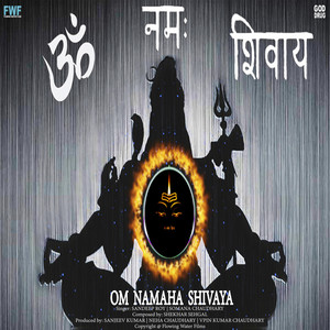 Om Namah Shivaya